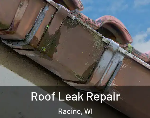  Roof Leak Repair Racine, WI